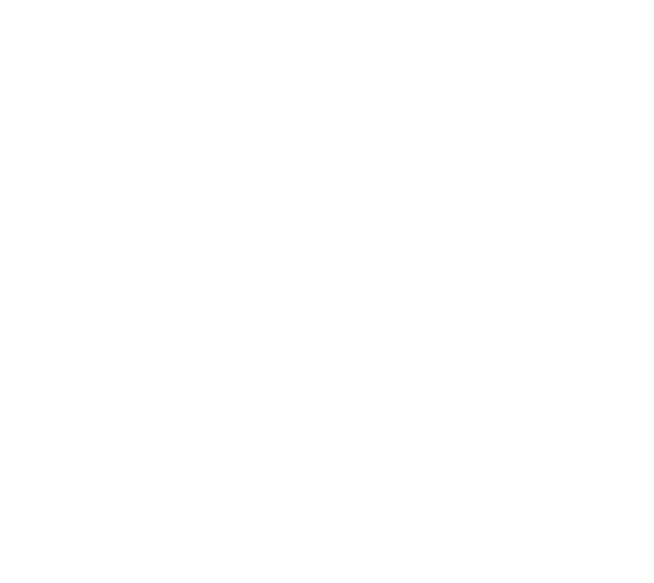 Crazy Line Dancer Odelzhausen